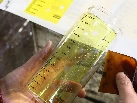 Decal Application — illustrative glass manufacturing reference